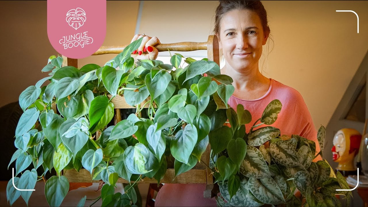 🌱 Plant Tour 2025 🌿 | Rok po przeprowadzce – jak ma się moja dżungla? 🏡