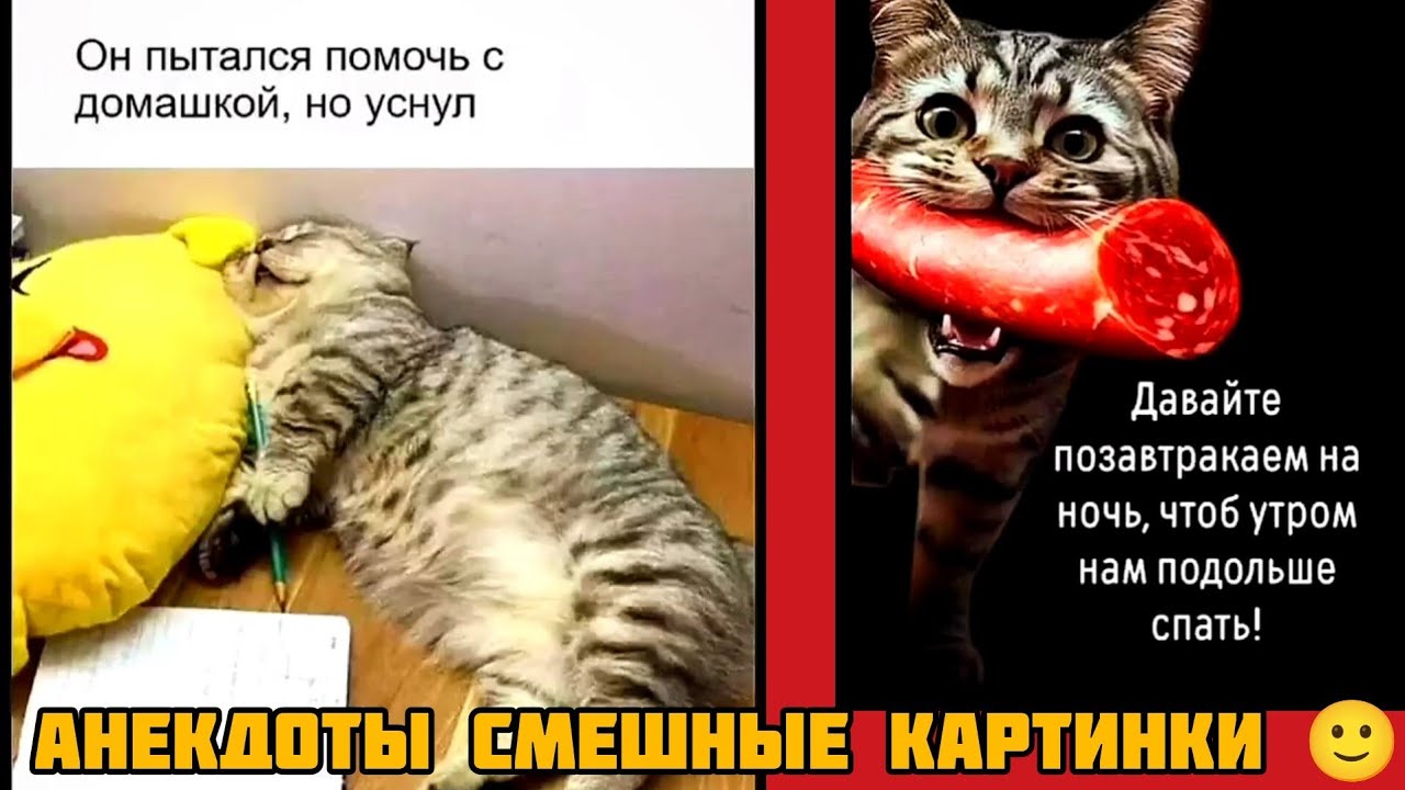 Давайте позавтракаем на ночь🥞, чтоб утром нам подольше спать😺! смешные картинки и весёлая музыка 🤣