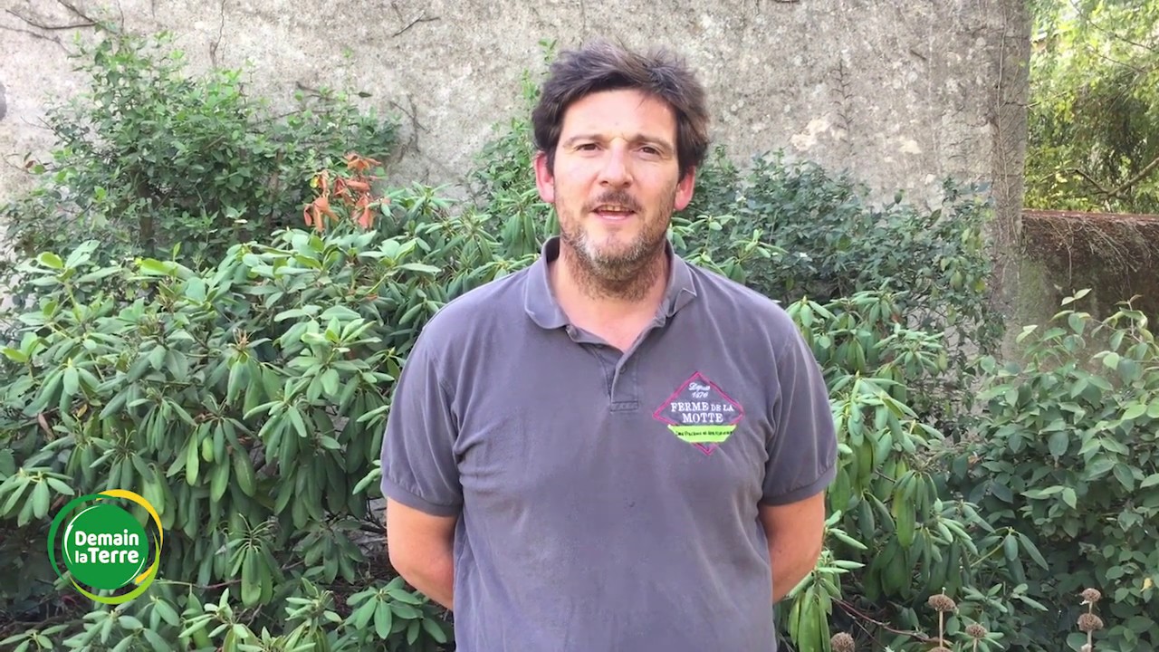 Présentation Ferme de la Motte