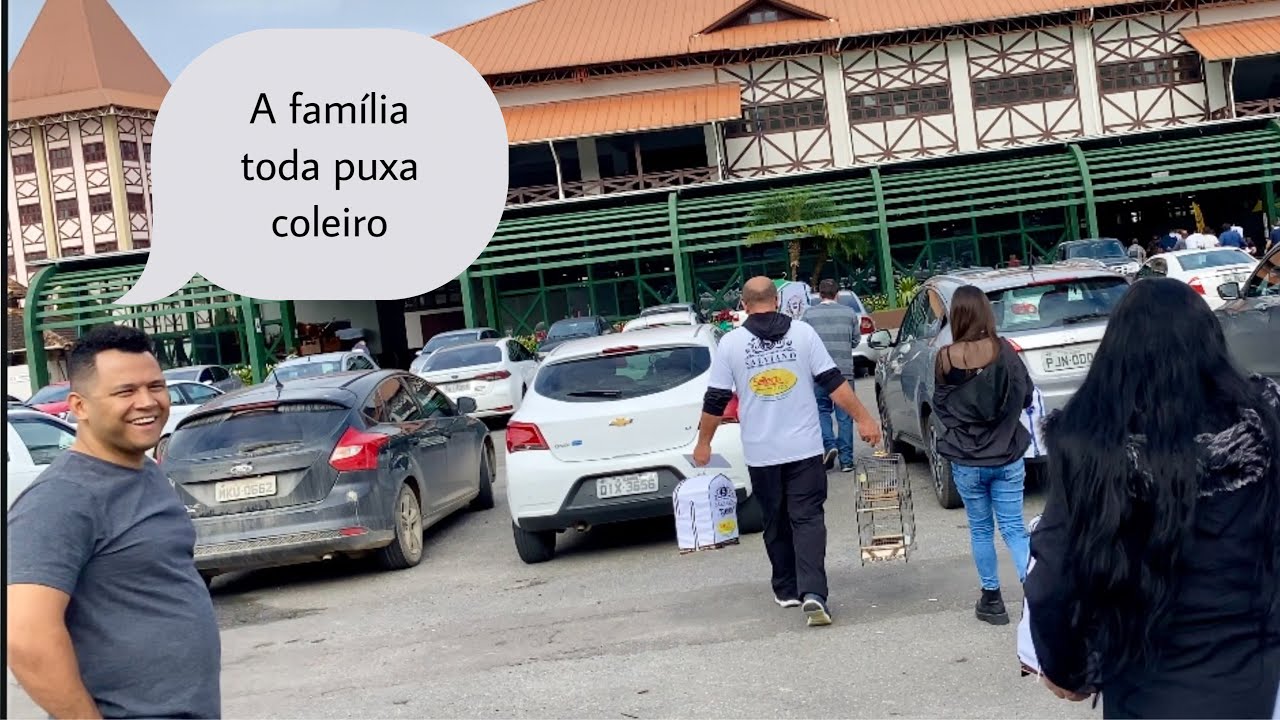 VEJA O PORQUE ELE É O MESTRE SALVIANO COLEIRO PAPA-CAPIM