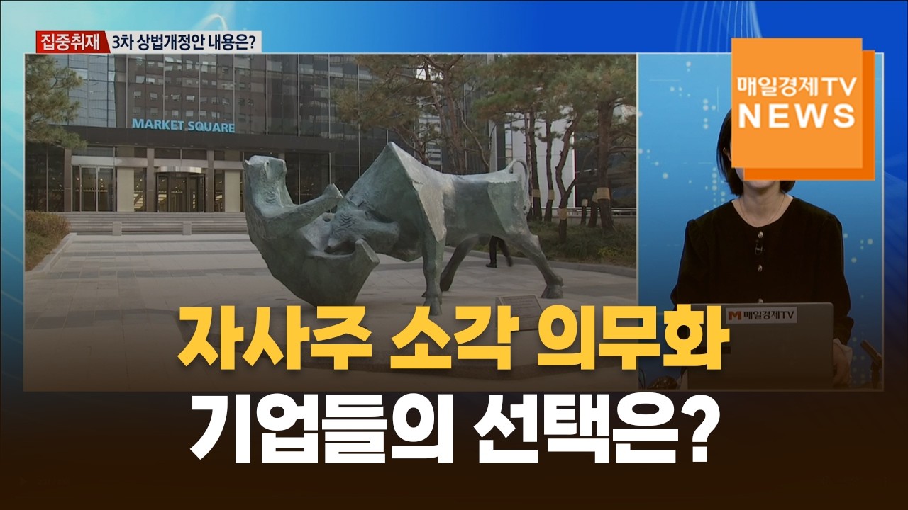 [집중취재]자사주 소각 의무화…기업들의 선택은?