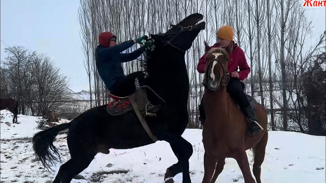 Ишеничтуу Аттар Арзан баада +996-778-257-250 20 января 2026 г.