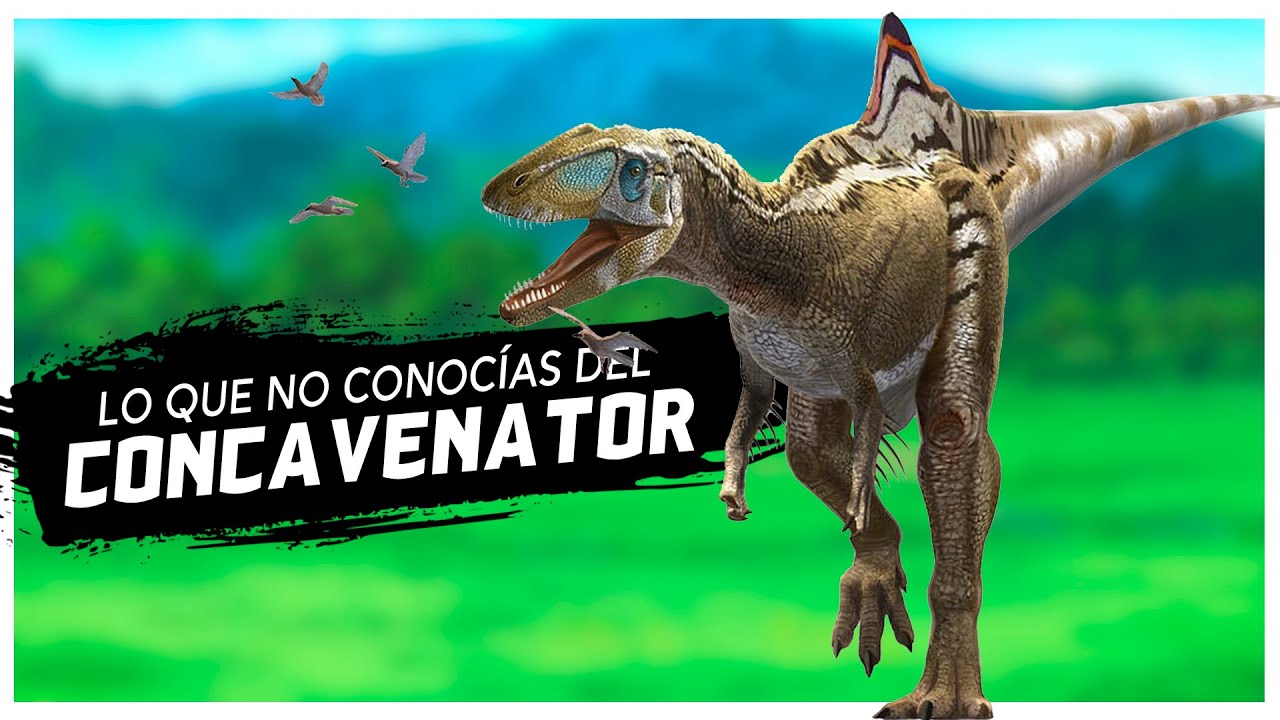 Lo que no conocías del Concavenator