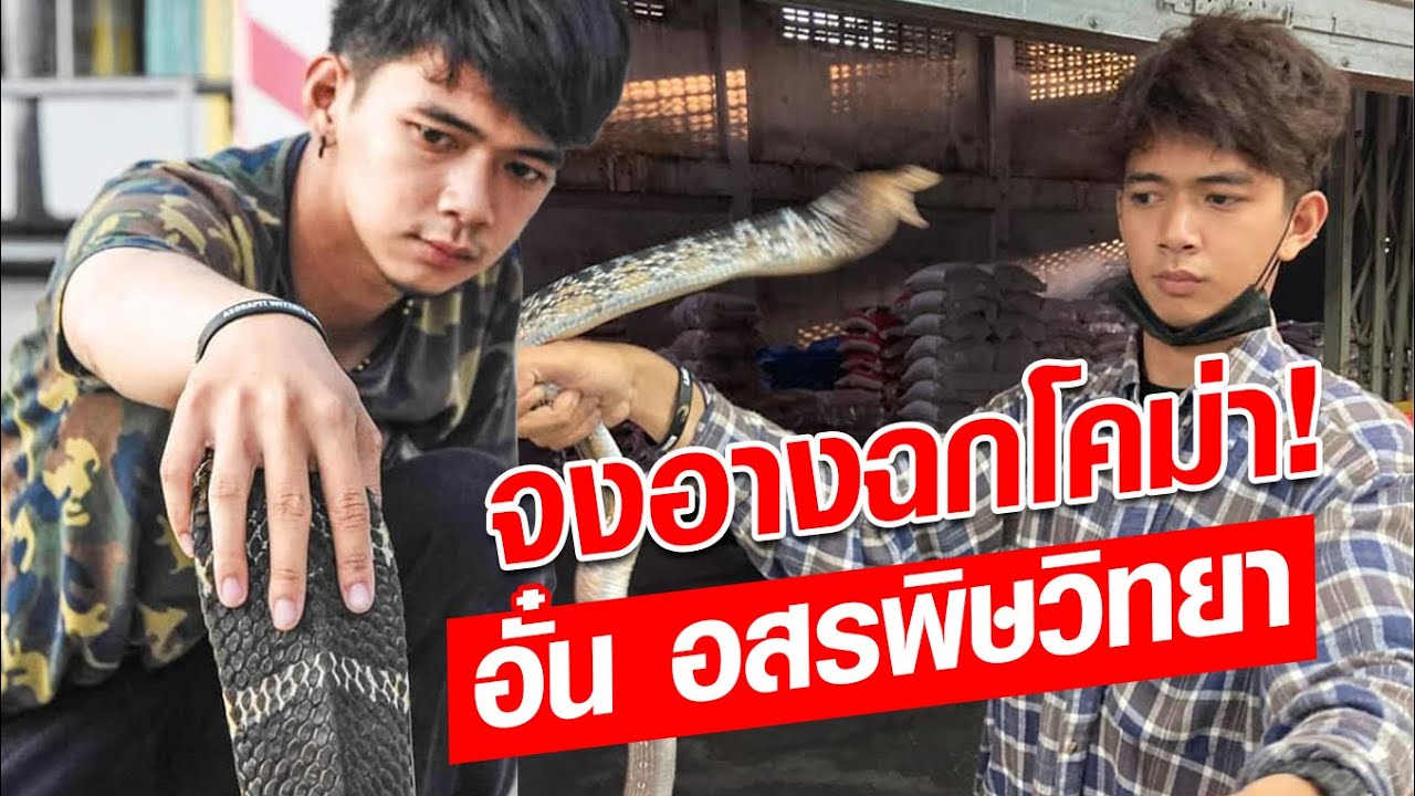 อั๋น อสรพิษวิทยา พลาดท่าจงอางฉก เส้นเลือดดำ พิษแล่นเข้าหัวใจ : Khaosod - ข่าวสด