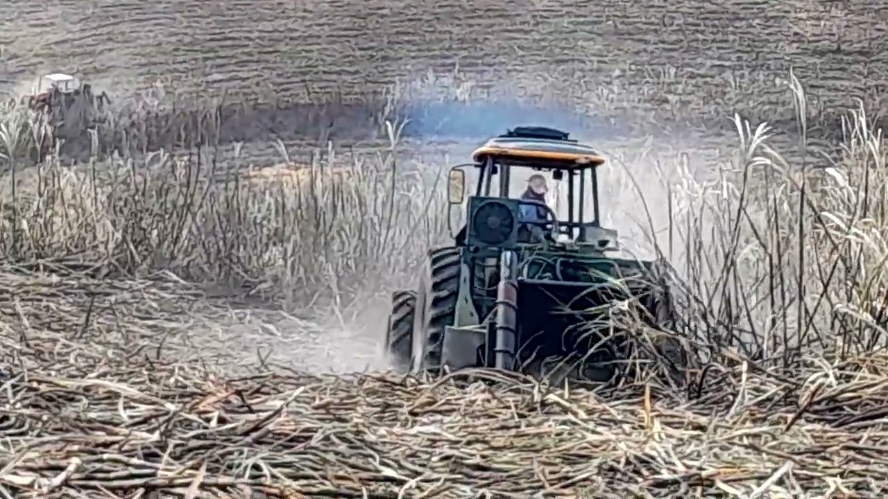 @EP#CriadorDeConteúdos #carregamento #deCana. 