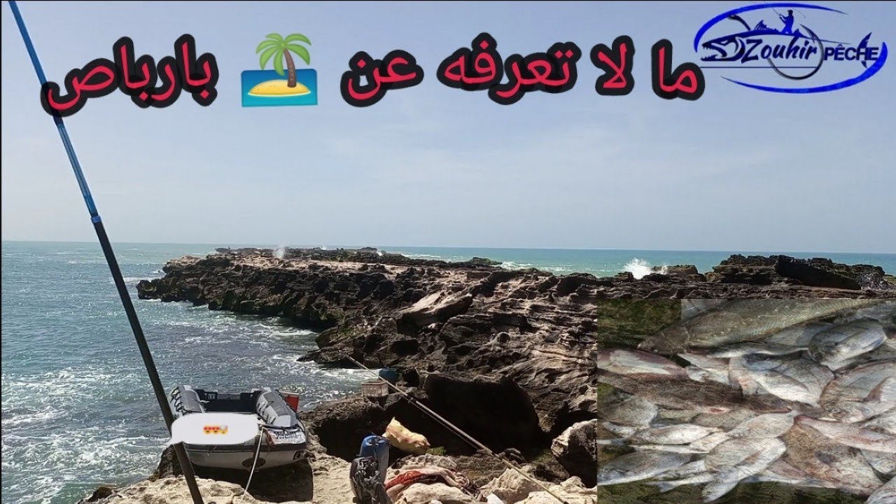بارباص مملكة الوحوش😍مالا تعرفه عن مصيد لايعلم بوجوده إلاّ القليل من أفضل المواقع جنوب ... الداخلة🌊