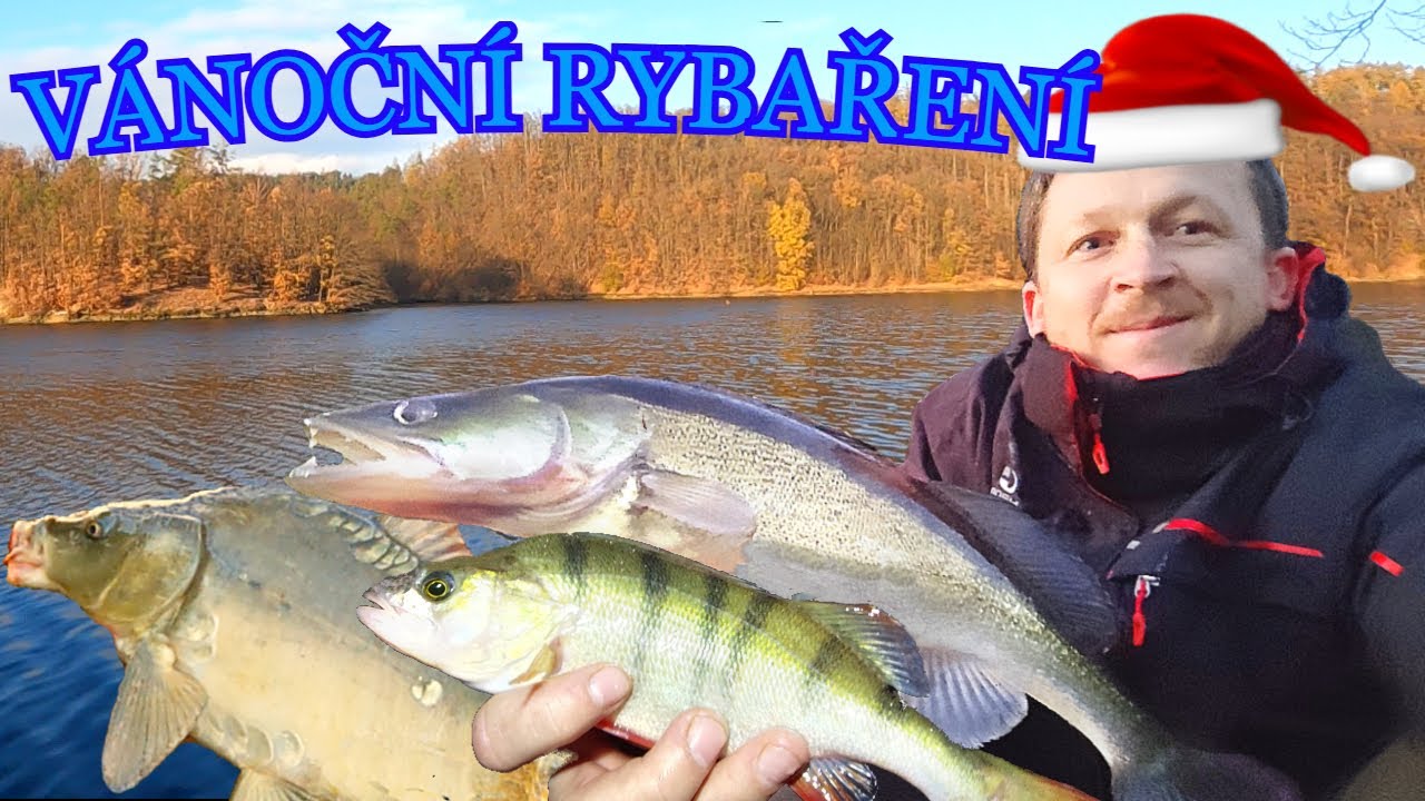 Vánoční lov dravců🐟 a kapra na přehradě 💚- nejtěžší vodě u nás, jak?! ( čtyři druhy ryb)+PŘEŽITÍ