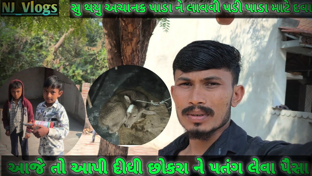 સુ થયુ પાડા ને😭😭😭આજે લાવી દિધી છોકરા માટે પતંગ  #njvlogs#vlog #vlogs#comedyvideo#thakorfamilyvlog