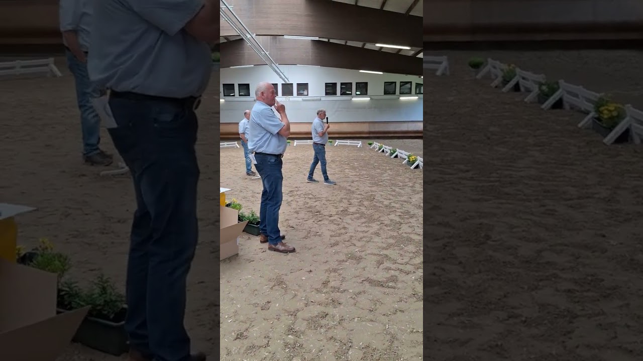 Gest&uuml;t Letter Berg, Fohlenschau 2024, Kommentar Siegerfohlen Bon Courage x Don Olymbrio L
