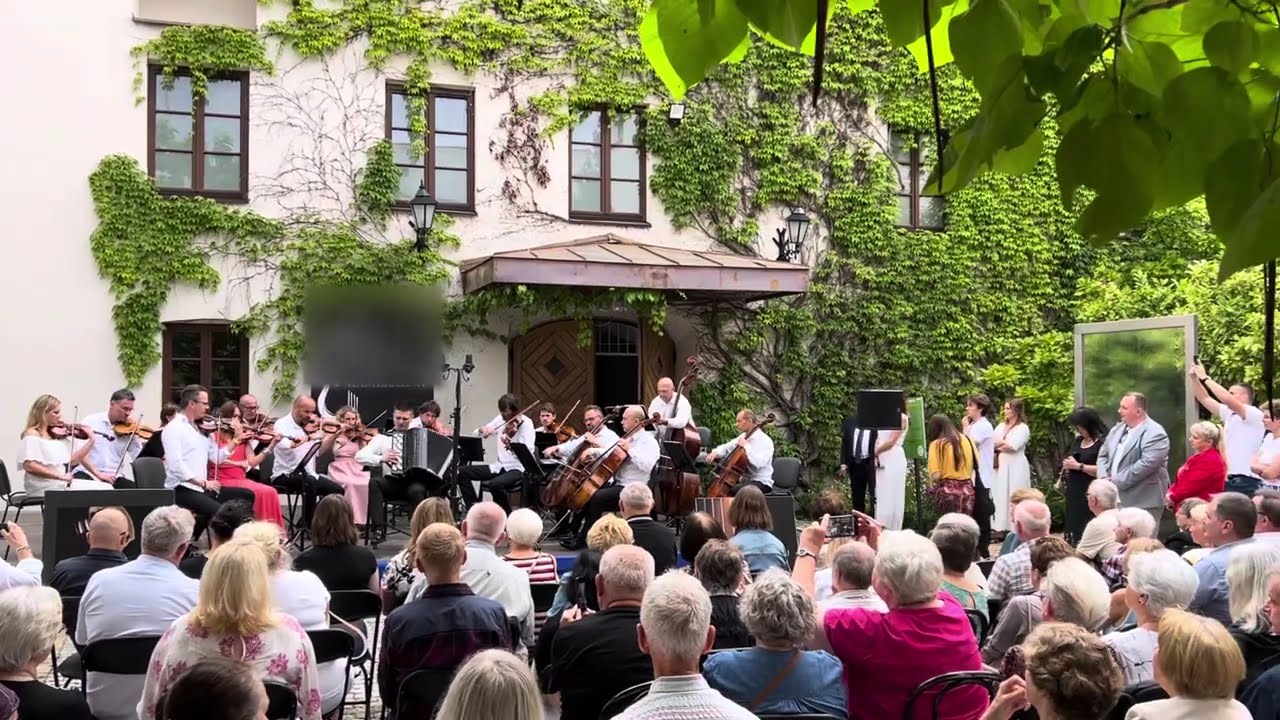 Koncert na akordeon solo z orkiestrą kameralną