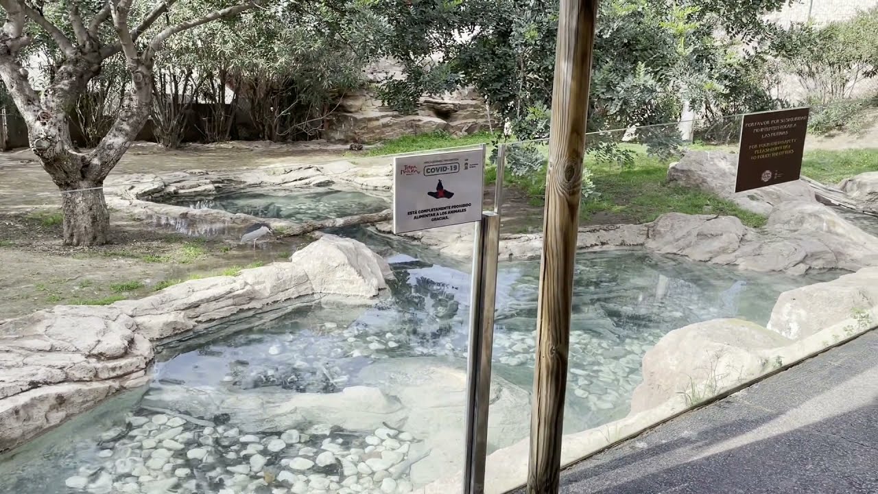 Murcia Zoo Walk, Tierra Natura Zoo Sightseeing. Beautiful city and mountain views. #Spain #Murcia