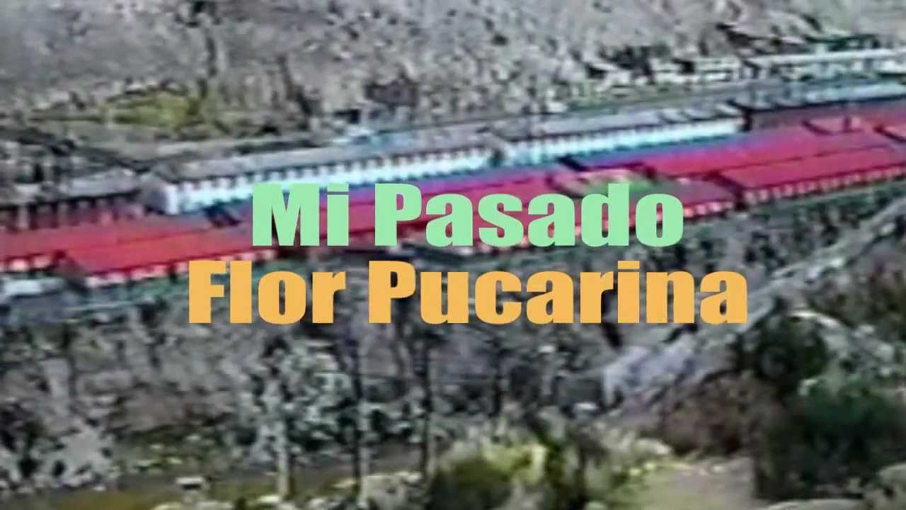 Mi Pasado / Flor Pucarina / Huancayo - Peru
