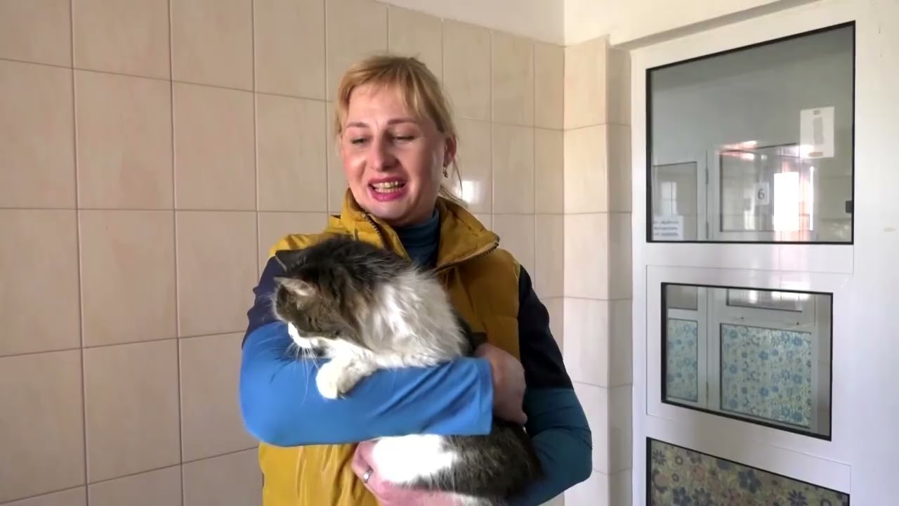 Adăpostul Kharkiv devine un refugiu sigur pentru animalele de companie abandonate