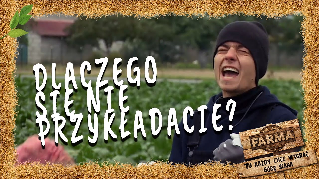 Farma - Buraki