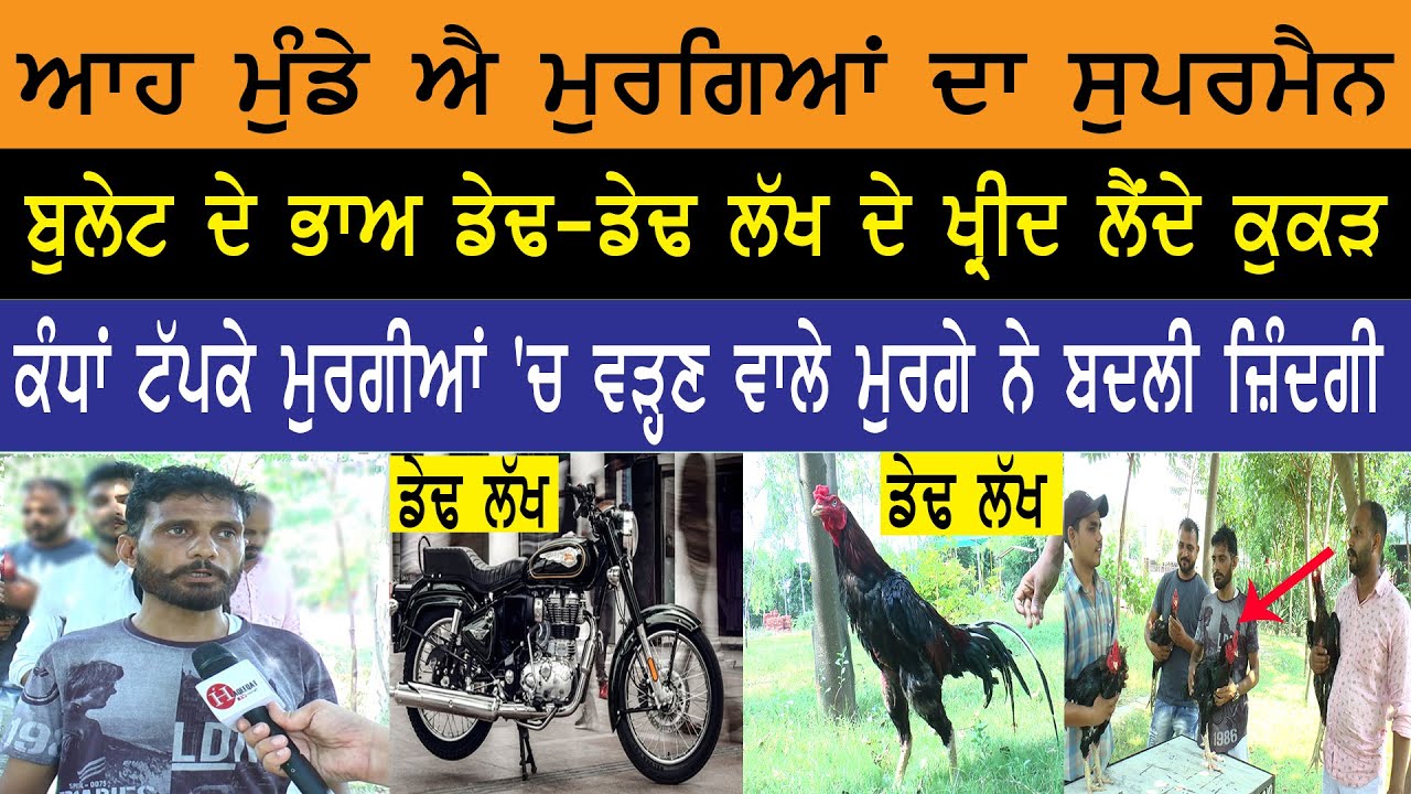 ਬੁਲੇਟ ਦੇ ਭਾਅ ਆਹ ਮੁੰਡਾ ਖ੍ਰੀਦ ਲੈਂਦੇ ਸ਼ਾਹੀ ਕੁਕੜ