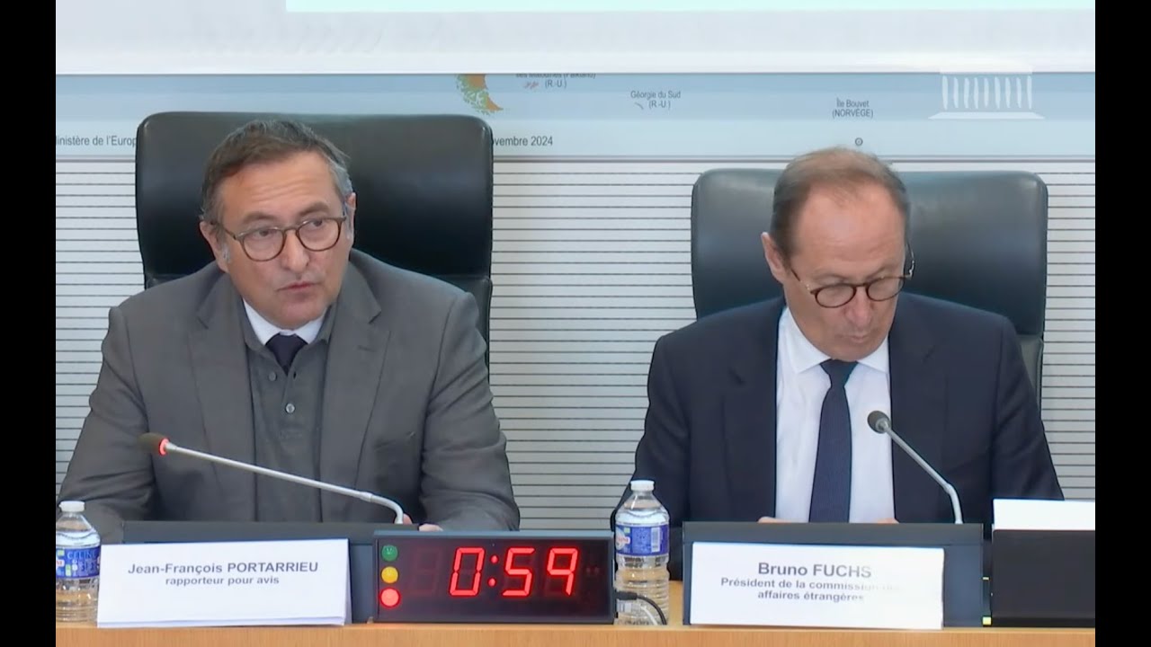 JEAN-FRANÇOIS PORTARRIEU - COMMISSION DES AFFAIRES ETRANGERES