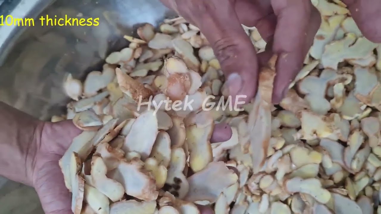 Ginger Slicer Capacity up to 400 kg/Hr | Turmeric Slicer | Commercial Onion Slicing Machine