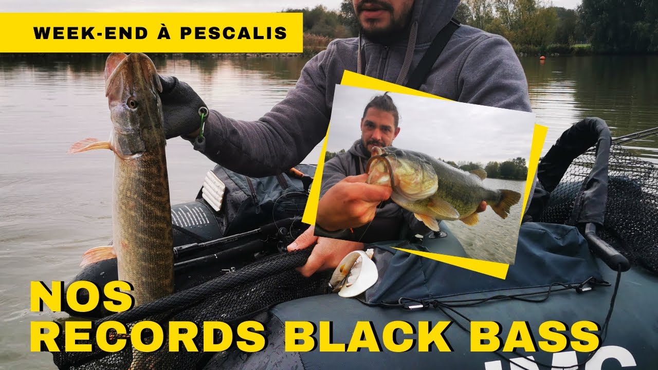 Records Black Bass et des jolies Pikes.... un week-end à Pescalis avec 10 leurres fisher's.