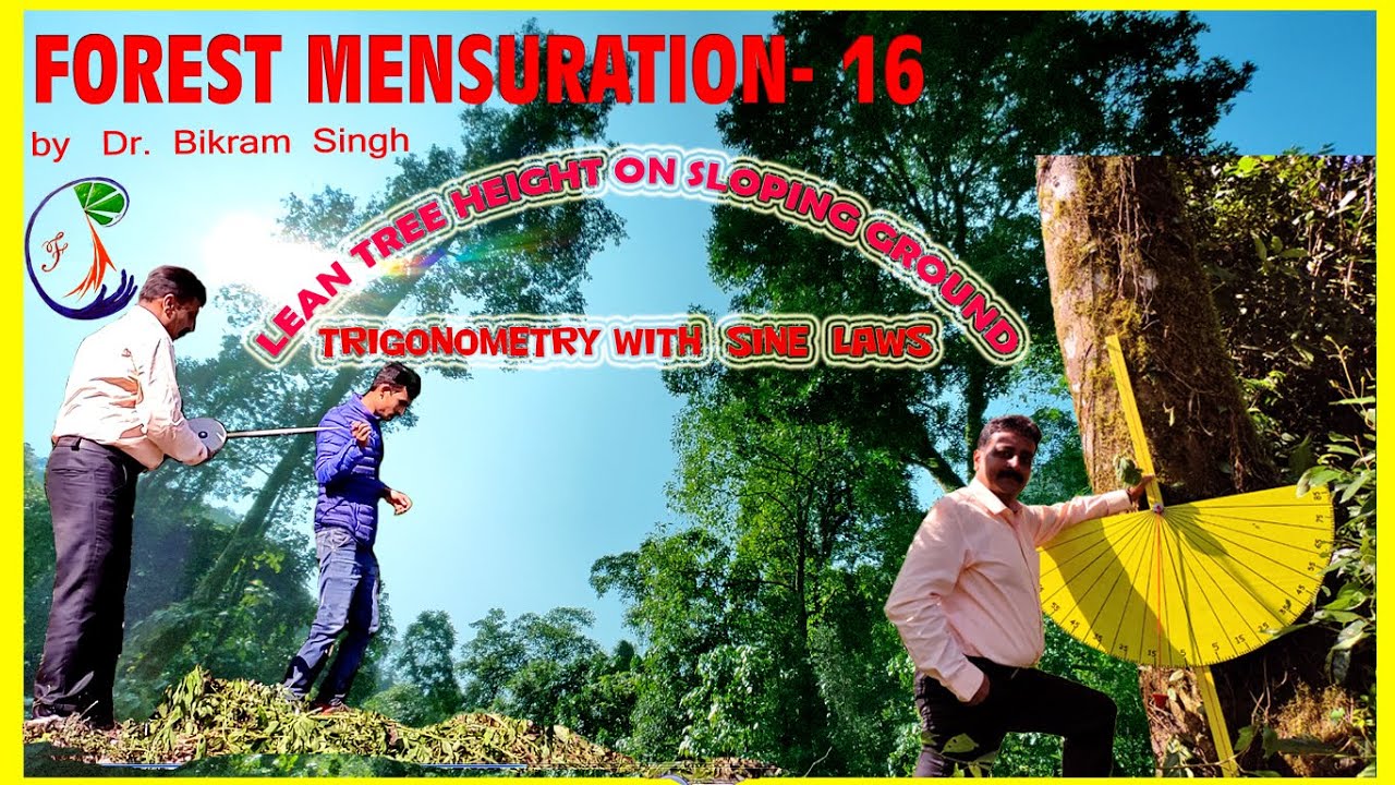 Forest Mensuration no.- 16 : Tree height of leaning tree on slope with Trigonometry by Sine Law.
