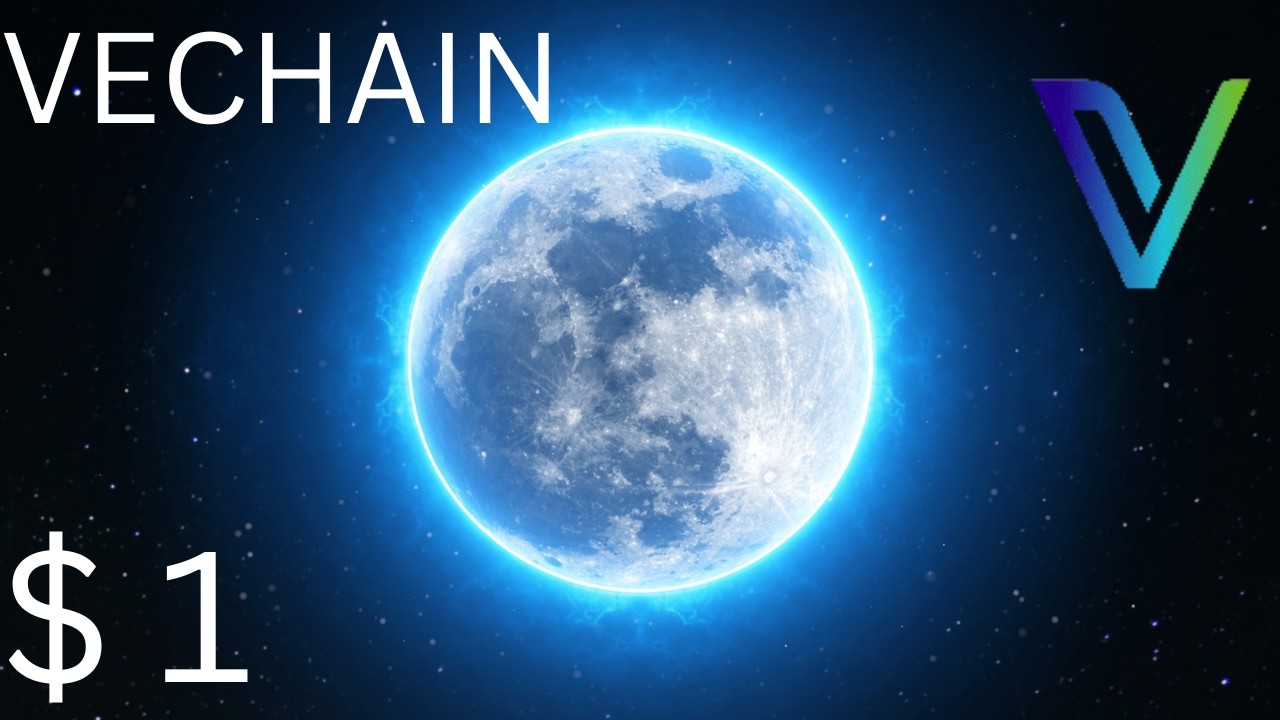 Новости VeChain VET: Сообщество VeChain продолжает расти!
