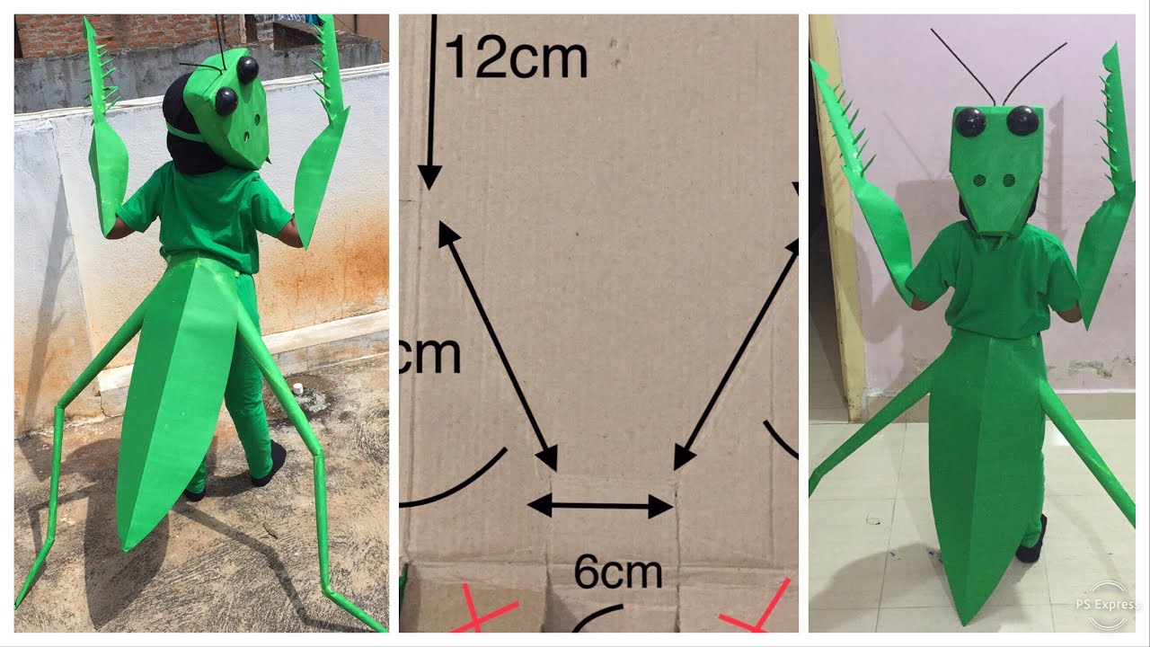 Grasshopper fancy dress competition | Ideas for fancy dress competition | inserts costume