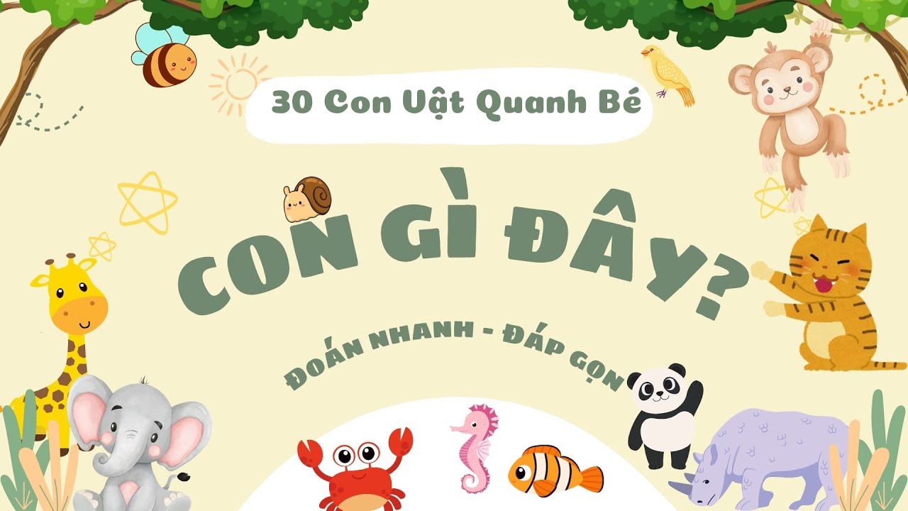Con Gì Đây | 30 Con Vật Xung Quanh Bé | Hỏi Nhanh Đáp Gọn | Melly Tủ Sách Thú Vị