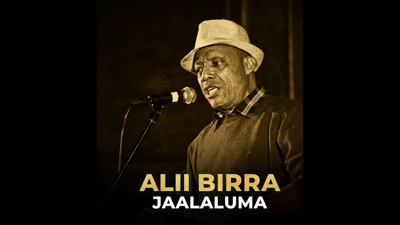 #Ali_Birra_-_Jaalaluma_teeti__Oromo