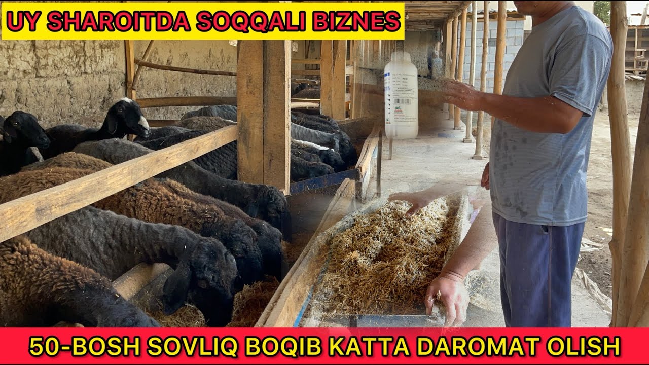 50-TA SOVLIQ YEMLAP 3-OYDA QANCHA DAROMAT TOPISH MUMKIN 🤔
