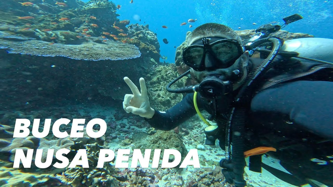BUCEO NUSA PENIDA, INDONESIA 