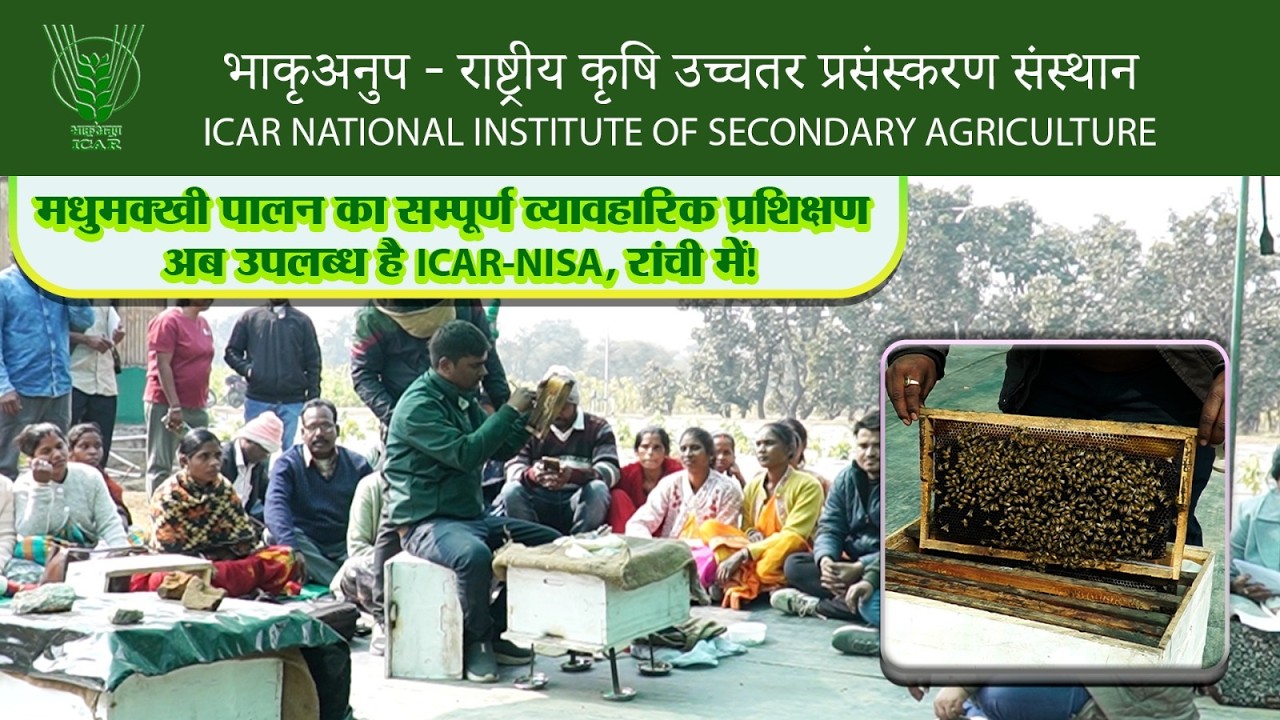 मधुमक्खी पालन का सम्पूर्ण व्यावहारिक प्रशिक्षण अब उपलब्ध है ICAR-NISA, रांची में!