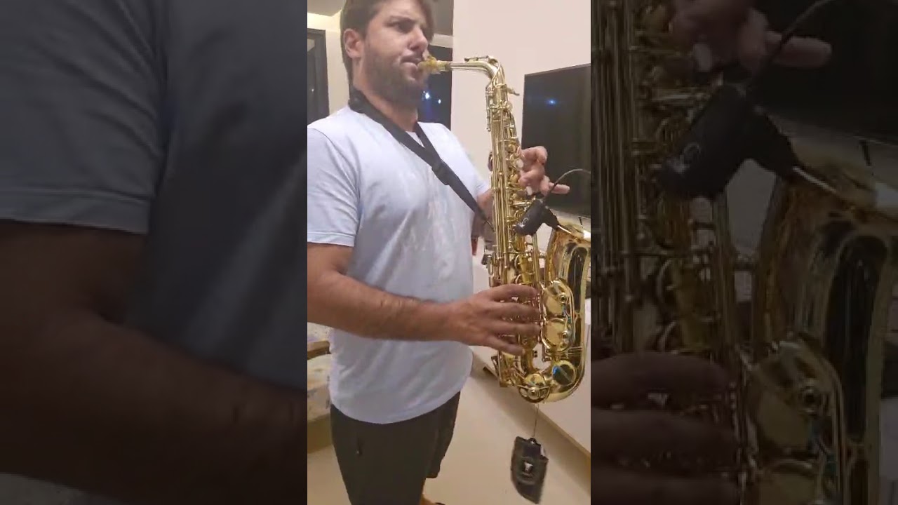 Sax alto