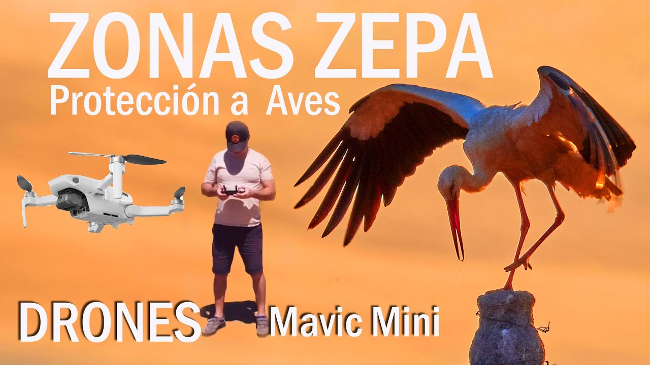 🦅🦅🦅 Zonas ZEPA, EXPLICADO. Y a Volar.