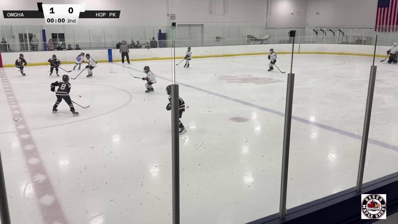 Hopkins Park B1 v OMGHA U10 B1