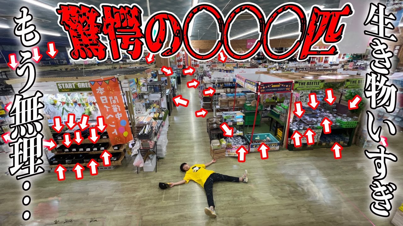 巨大すぎるペットショップの大量すぎる生き物たちを全部数えたら驚愕の結果に……