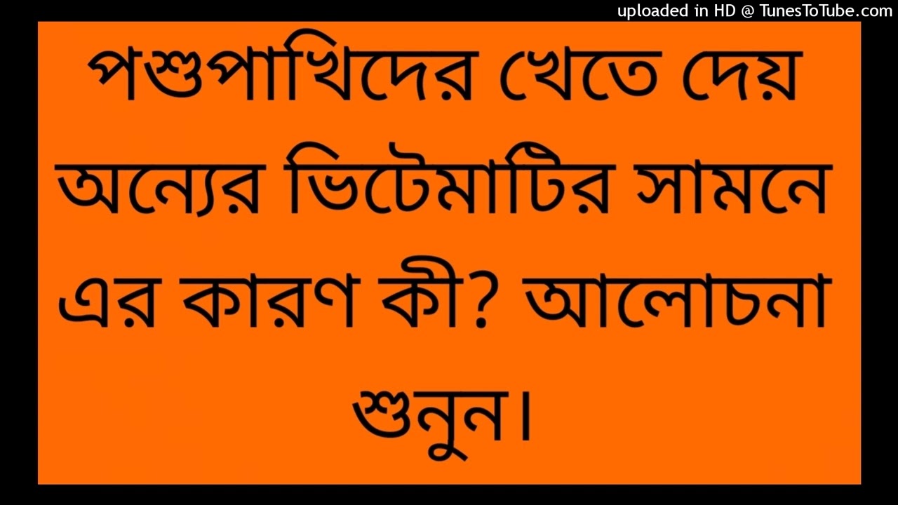 পশুপাখিদের খেতে দেয় অন্যের ভিটেমাটির সামনে এর কারণ কী? আলোচনা শুনুন।