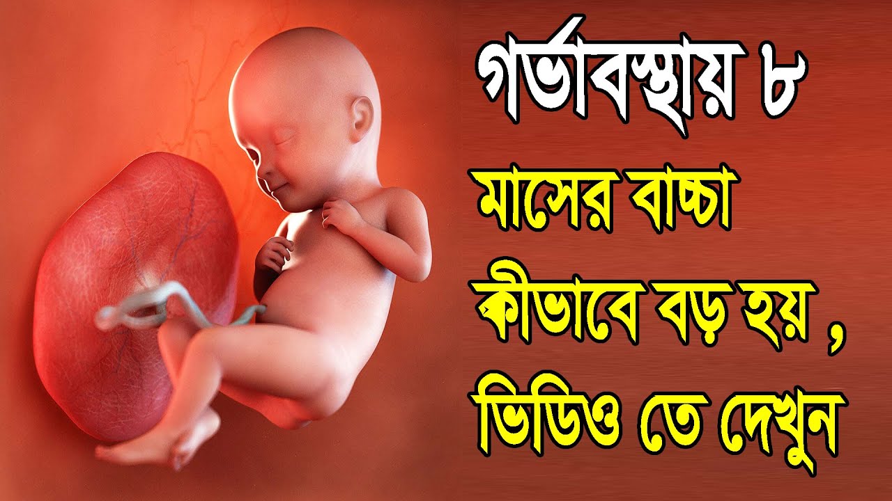 গর্ভাবস্থায় ৮ মাসের বাচ্চা কীভাবে বড় হয় ,ভিডিও তে দেখুন