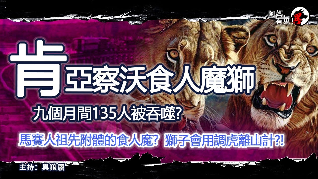 肯亞察沃食人魔獅【恐怖過鬼EP018】九個月間135人被吞噬? 馬賽人祖先附體的食人魔?獅子會用調虎離山計?! ｜天災人禍獸殺｜不解之迷｜未知生物