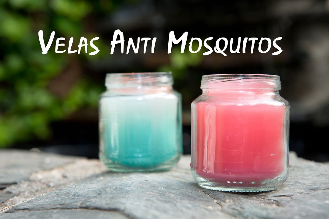Velas y Conchas de Mar Anti Mosquitos
