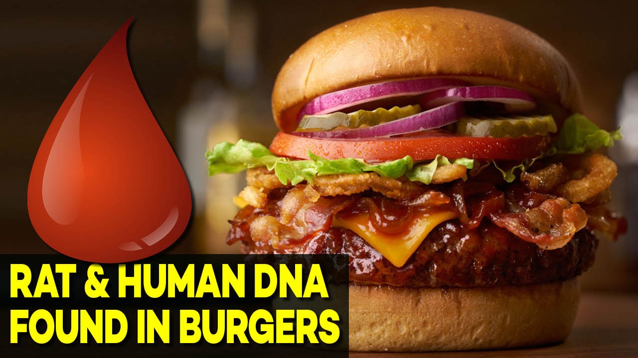 What's in Your Burger? Just RAT and HUMAN DNA