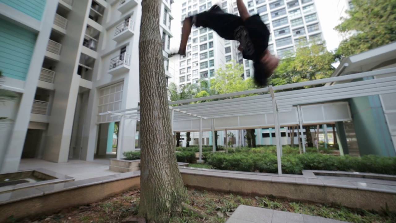 ZackDFuzzle - Redbull Art of Motion 2016 Submission
