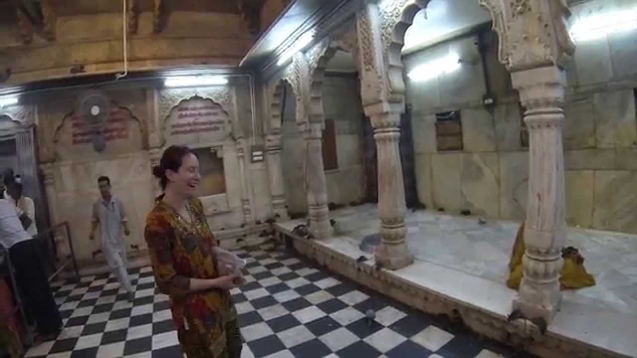 Visit to Karni Mata Temple, 