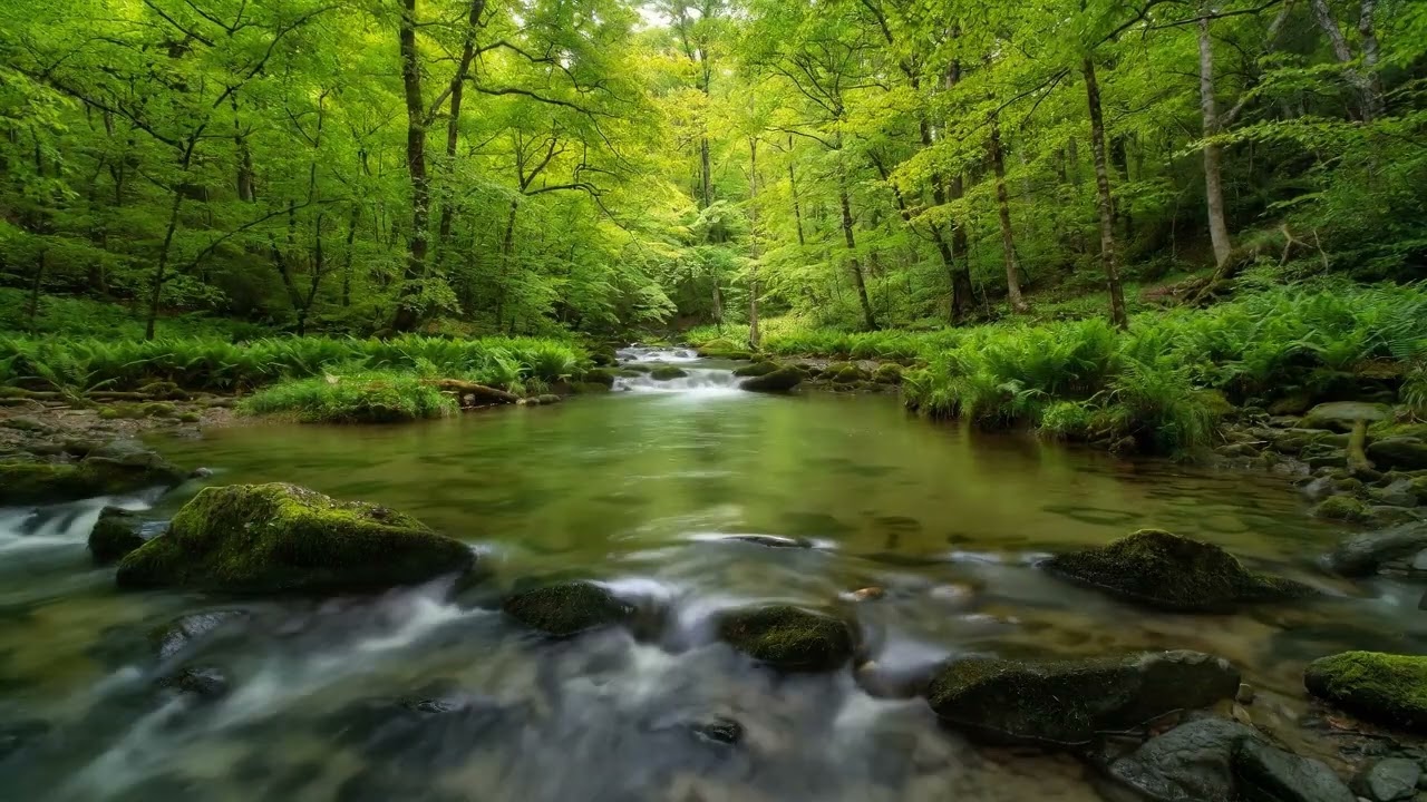 8 HOURS of Deep RELIEF Music​MELTS Stress & Anxiety Away (Ultimate Alpha Waves) FINALLY, Peace.14