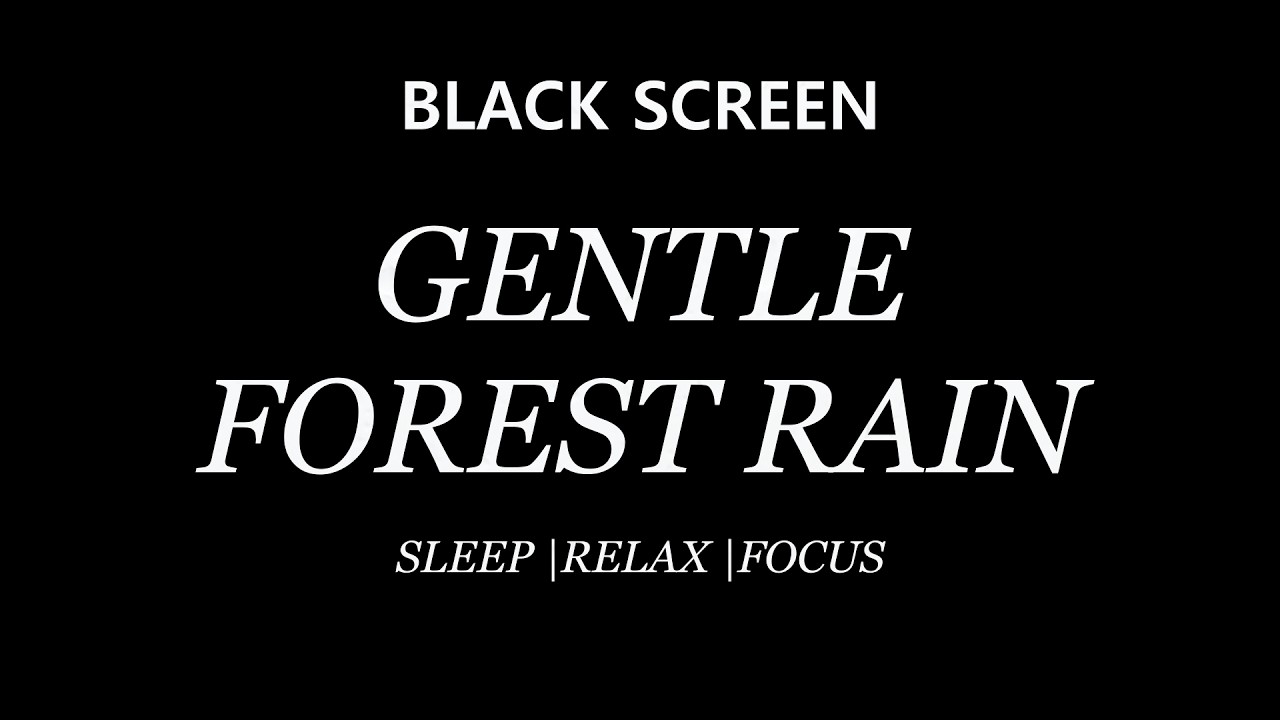 Gentle FOREST RAIN Sounds for Sleeping and Relaxing | BLACK SCREEN | 10 Hours