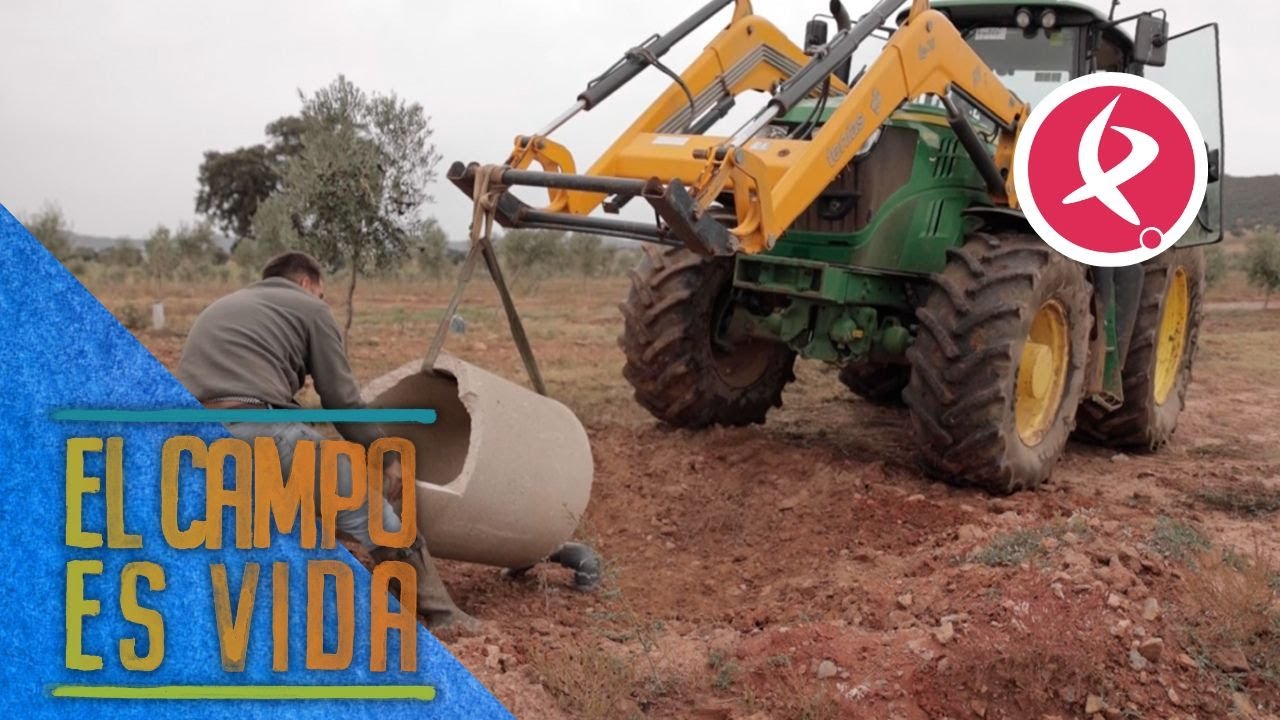 Los Mellis, agricultores, ganaderos y ahora también fontaneros | El campo es vida