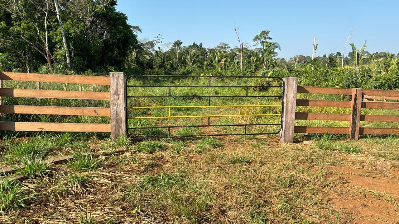 Fazenda de 130 Hectares com 100 Aberto / Alenquer - Pará