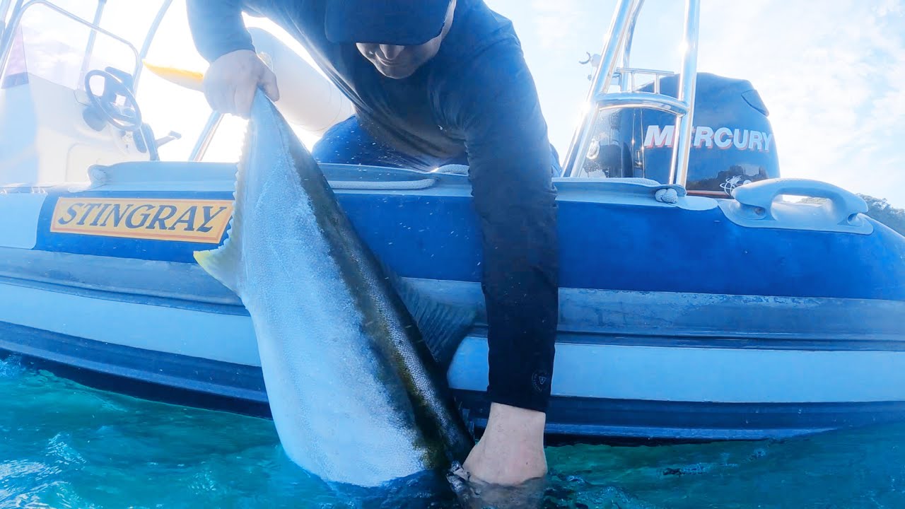 SPEARFISHING KINGFISH! Get It Out The Water: Stop Losing Fish Episode One