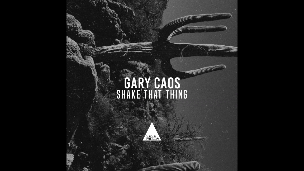 Gary Caos - Shake That Thing (Original Mix)
