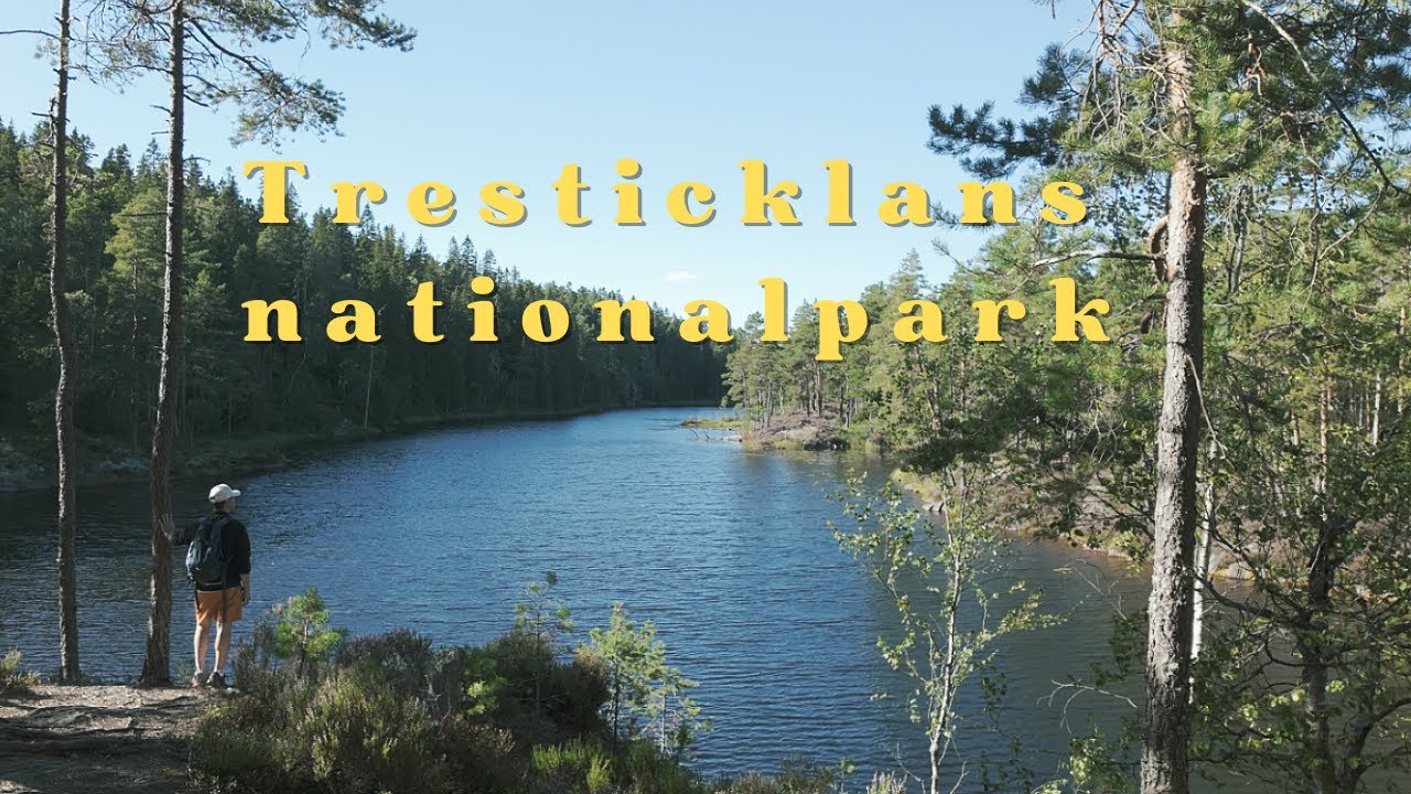 Sverige vackraste nationalpark? - Tresticklans nationalpark - En visuell berättelse i 4K