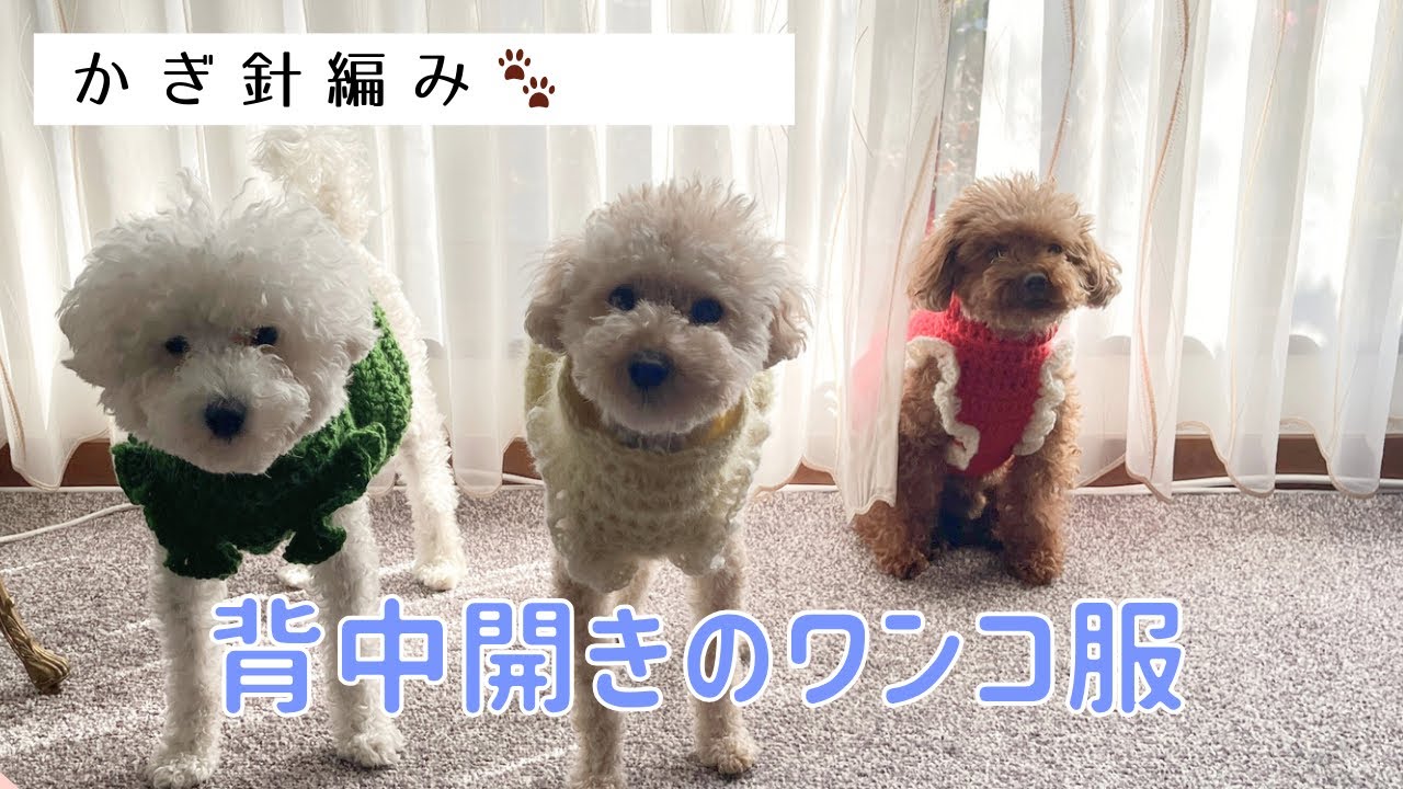 背中開きのワンコ服