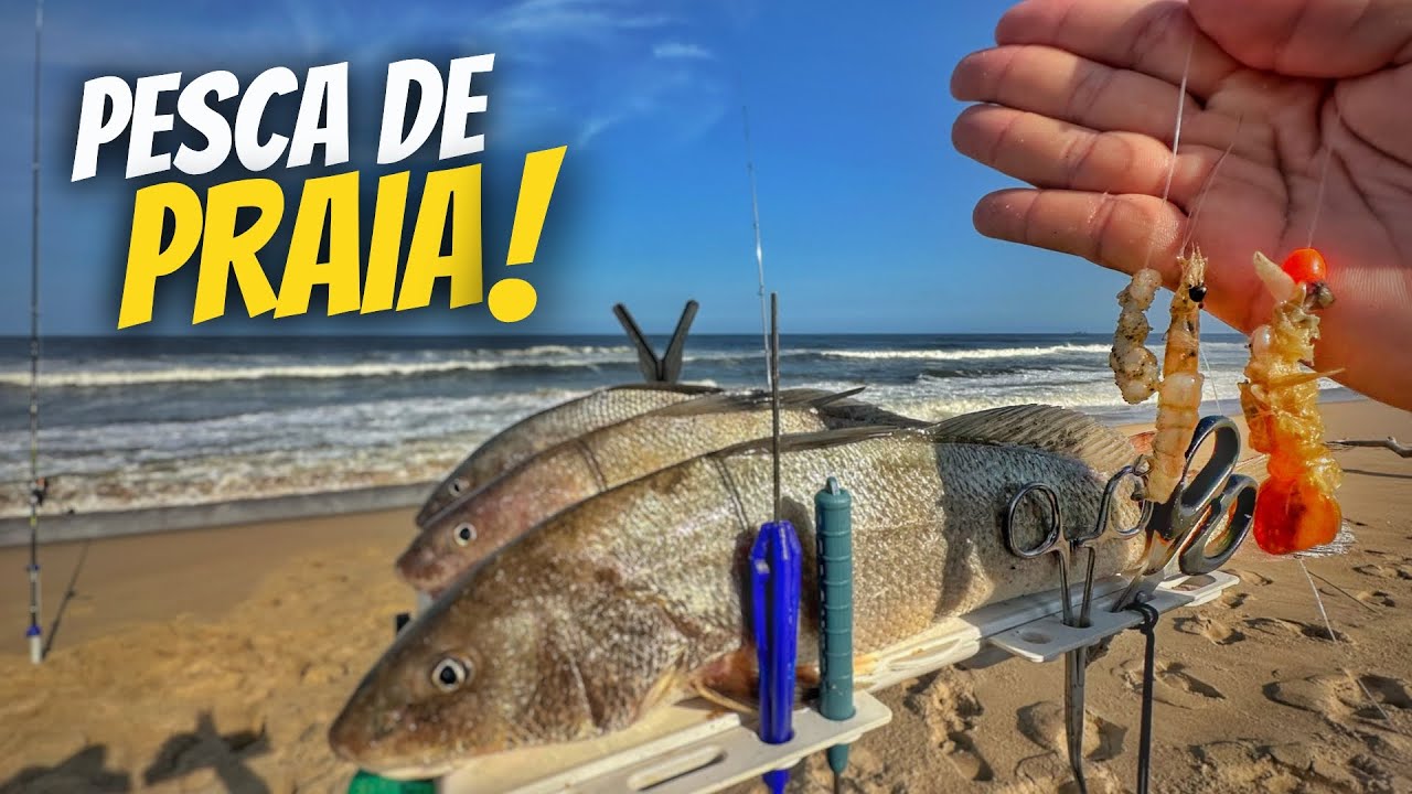 BETARAS GIGANTES na PESCA de PRAIA! Fui em um NOVO PONTO de PESCA